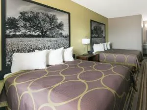 Super 8 by Wyndham Colorado City hotel detail image 2