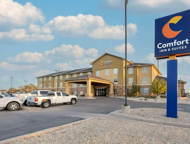 Comfort Inn & Suites Artesia hotel detail image 3