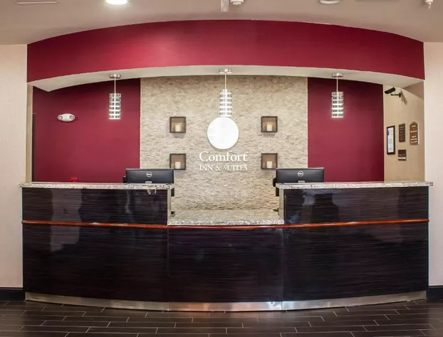 Comfort Inn & Suites Artesia hotel detail image 4