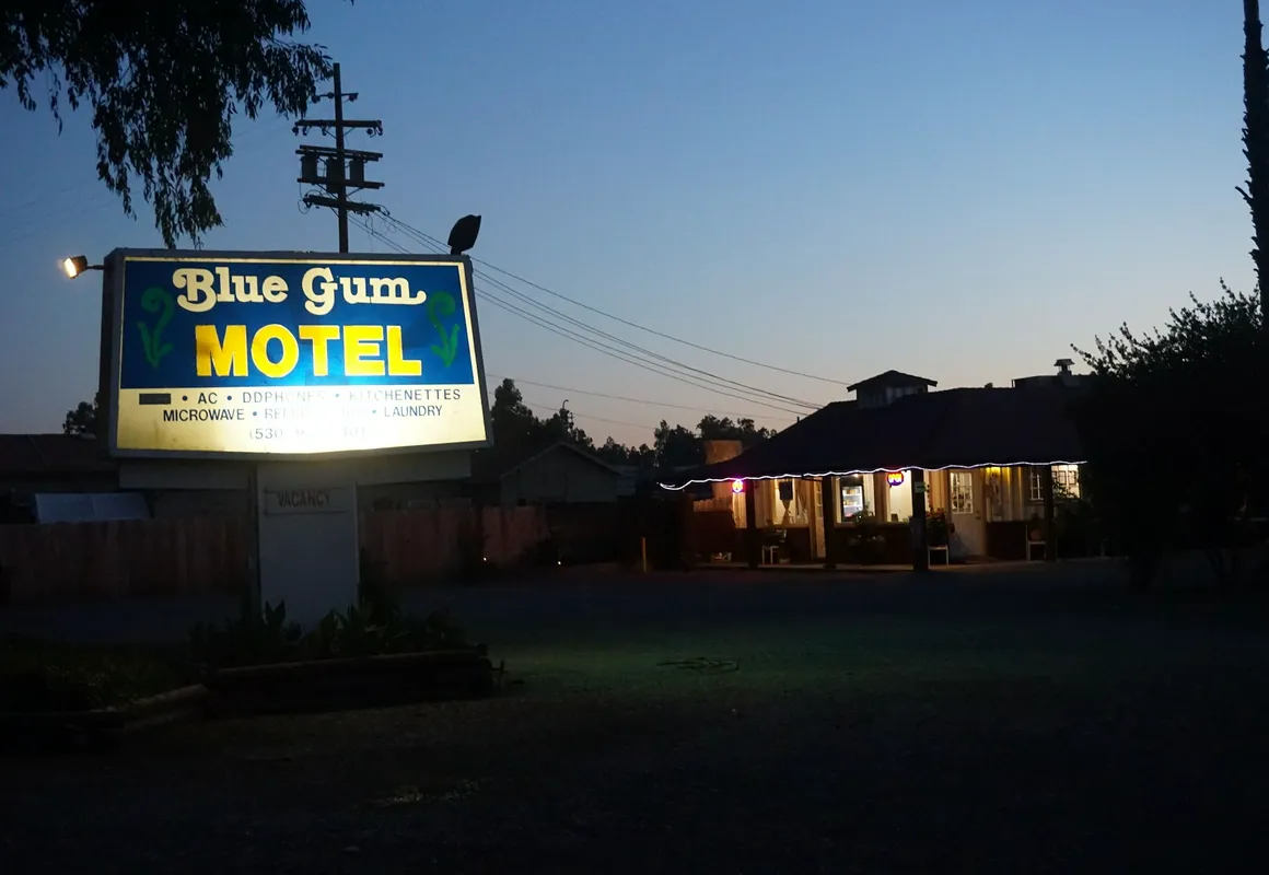 Blue Gum Motel hotel hero