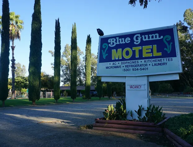 Blue Gum Motel hotel detail image 1
