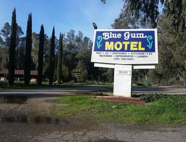 Blue Gum Motel hotel detail image 2