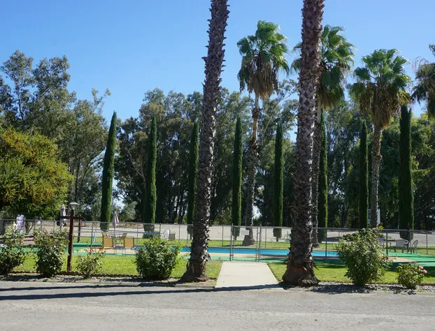 Blue Gum Motel hotel detail image 4