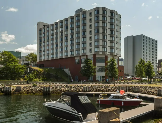 Holiday Inn Sydney - Waterfront by IHG hotel detail image 2