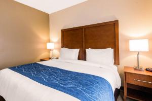 Comfort Inn & Suites IAH Bush Airport – East hotel detail image 3