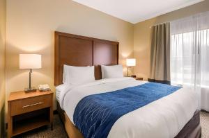 Comfort Inn & Suites IAH Bush Airport – East hotel detail image 4
