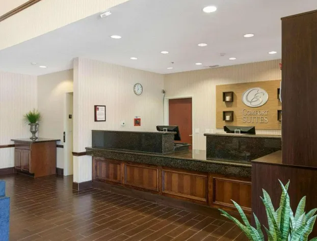 Comfort Suites Plainview hotel detail image 2