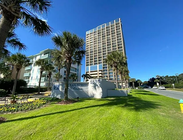 Ocean Forest Plaza by Palmetto Vacations hotel detail image 3