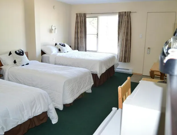 Motel Tyrol hotel detail image 3