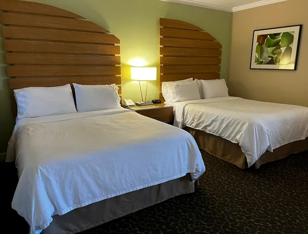 Holiday Inn Express & Suites La Jolla – Windansea Beach by IHG hotel detail image 4