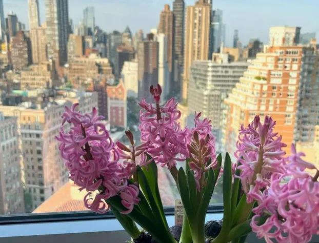 Hotel Beacon hotel detail image 3