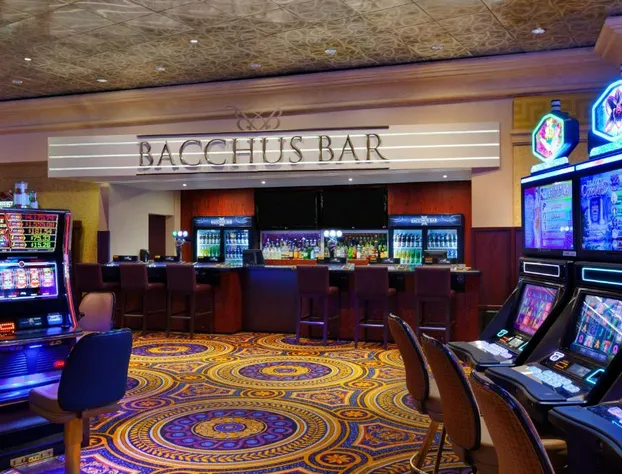 Caesars Windsor - A Caesars Rewards Destination hotel detail image 2