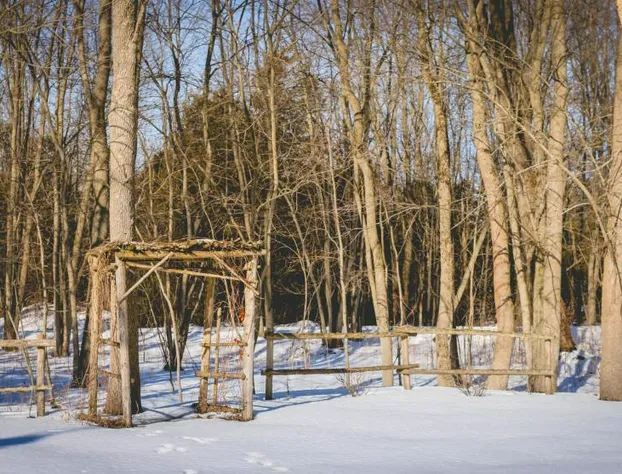 Timber House Resort hotel detail image 3