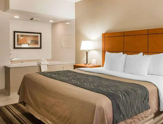 Comfort Inn Metro Airport hotel detail image 4