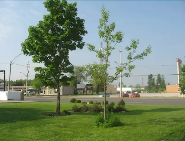 Super 8 by Wyndham Windsor/Dougall hotel detail image 3