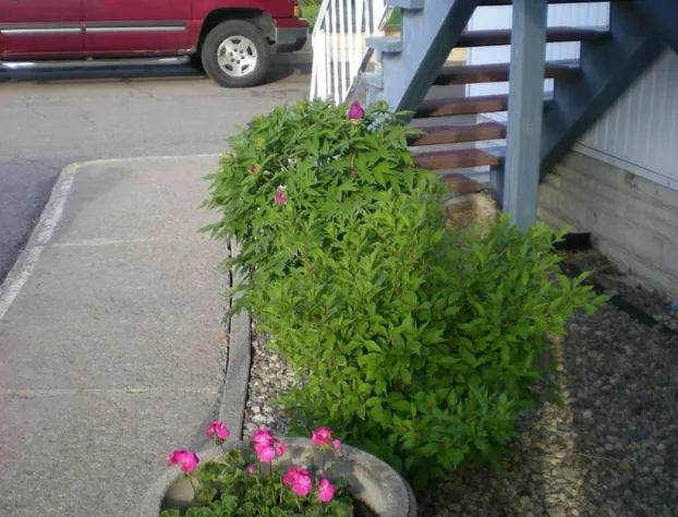 Motel Seigneurie de Vaudreuil hotel detail image 3