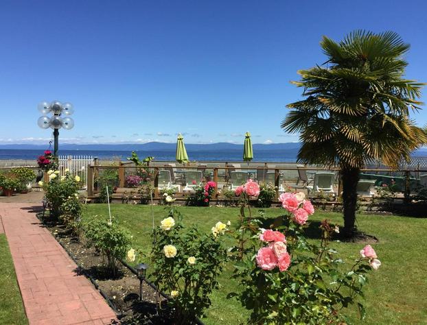 Buena Vista by the Sea hotel detail image 4