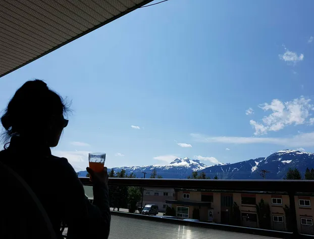 Alpine Inn & Suites hotel detail image 4