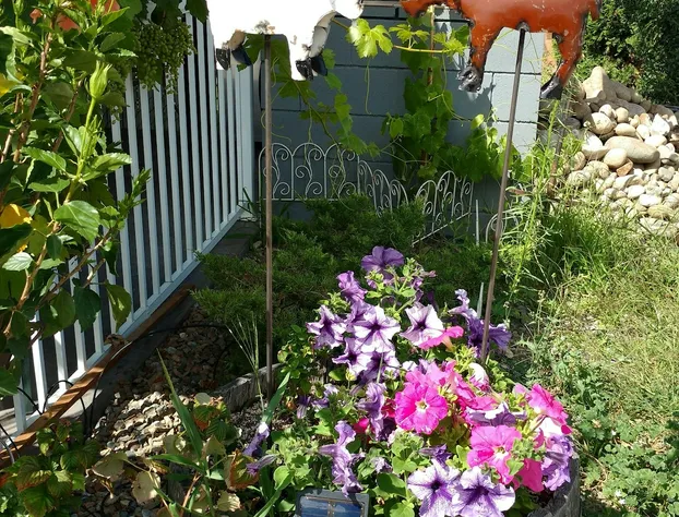 Mount View Motel hotel detail image 3