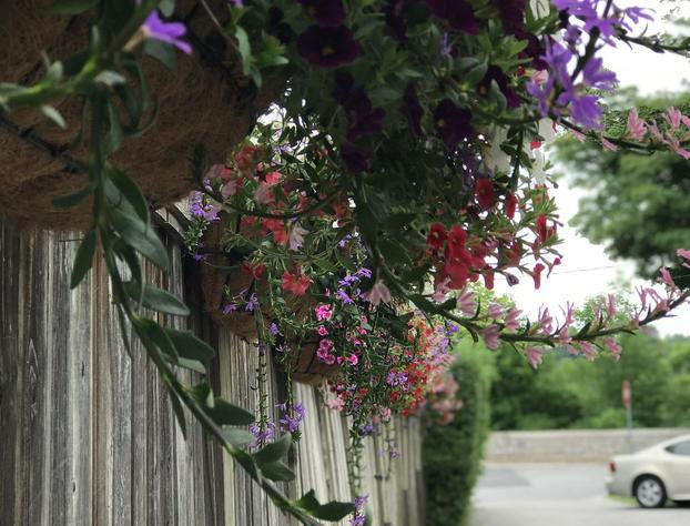 Bedham Hall Bed & Breakfast hotel detail image 4