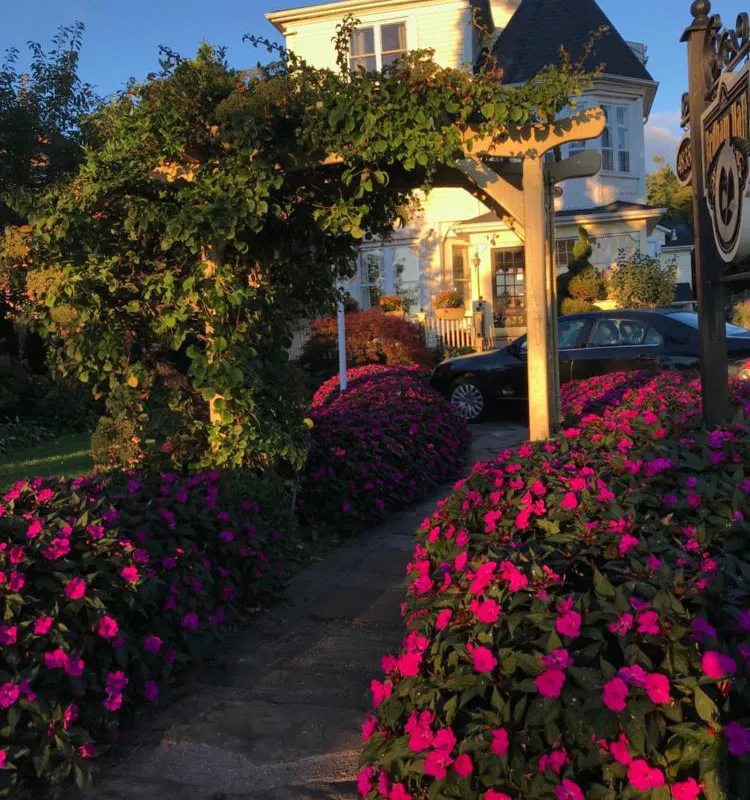 Bedham Hall Bed & Breakfast hotel hero