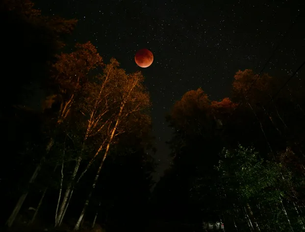 La Chaumiere de l' Anse hotel detail image 3