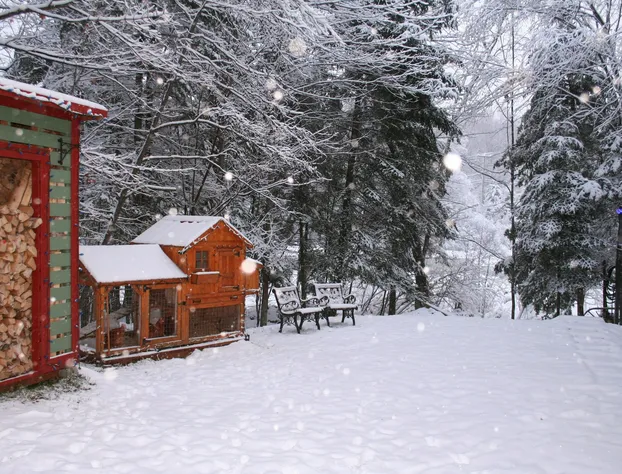 La Chaumiere de l' Anse hotel detail image 4