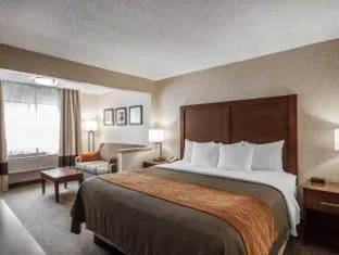 Quality Inn hotel detail image 3