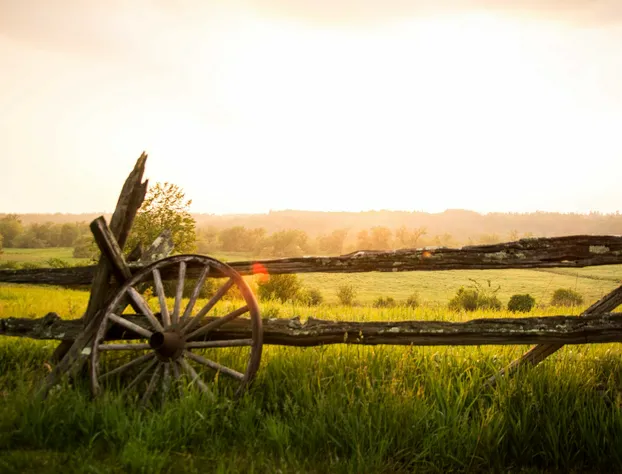Laura's Bed & Breakfast hotel detail image 4