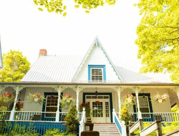 Auberge sous Les Arbres hotel detail image 3