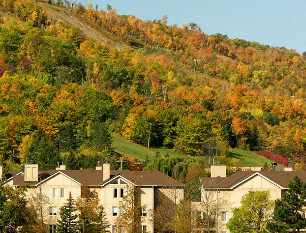 Blue Mountain Resort Home Collection hotel detail image 3