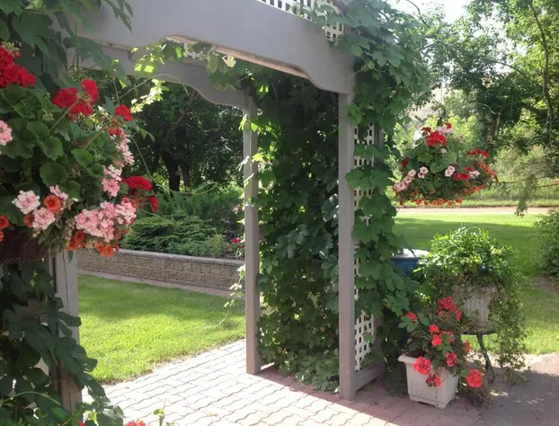 McDougall Lane Bed & Breakfast hotel detail image 1