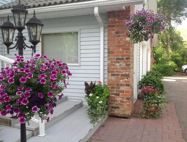 McDougall Lane Bed & Breakfast hotel detail image 3