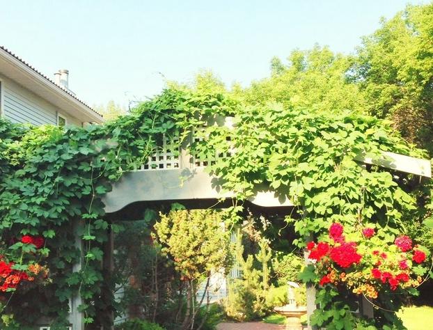 McDougall Lane Bed & Breakfast hotel detail image 2