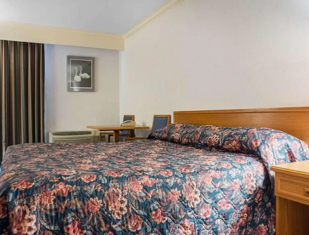 Econo Lodge By The Falls hotel detail image 4