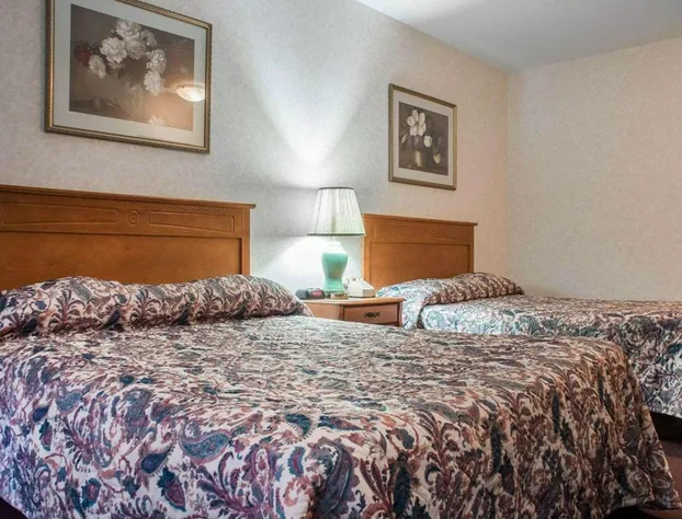 Econo Lodge By The Falls hotel detail image 4