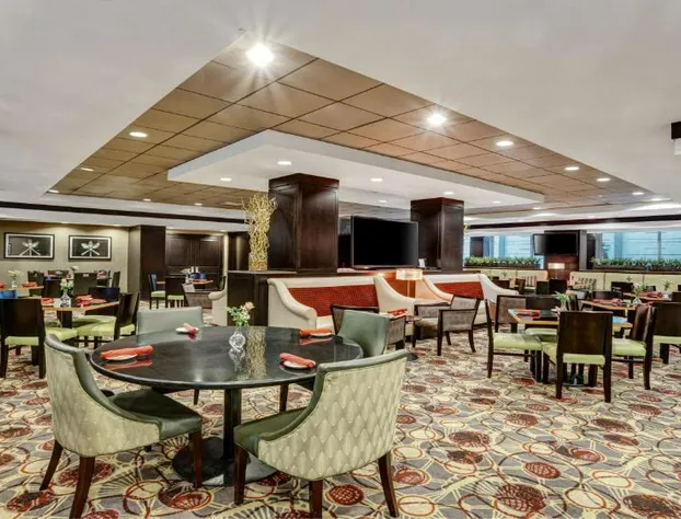 Crowne Plaza Houston Galleria Area by IHG hotel detail image 3