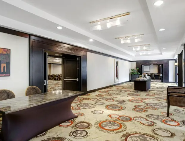 Crowne Plaza Houston Galleria Area by IHG hotel detail image 2