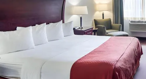 Quality Inn Midland South hotel detail image 3