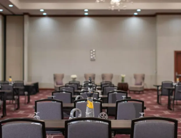 Renaissance Dallas Richardson Hotel hotel detail image 4