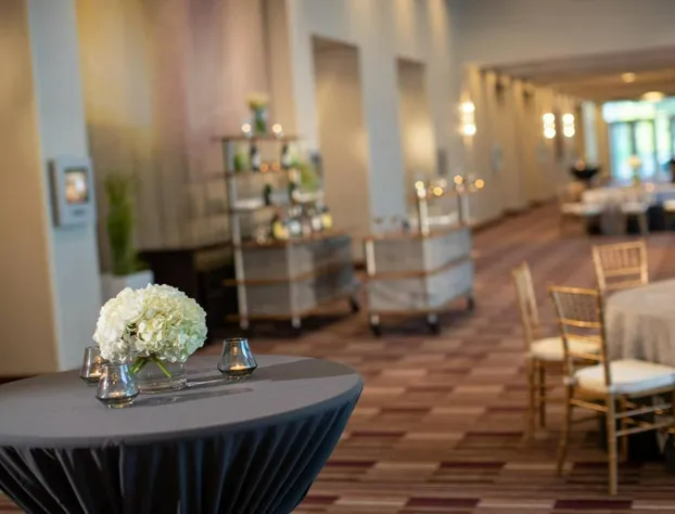 Renaissance Dallas Richardson Hotel hotel detail image 2