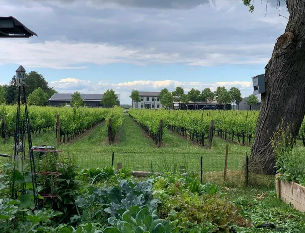 Green Oaks Bed and Breakfast hotel detail image 4