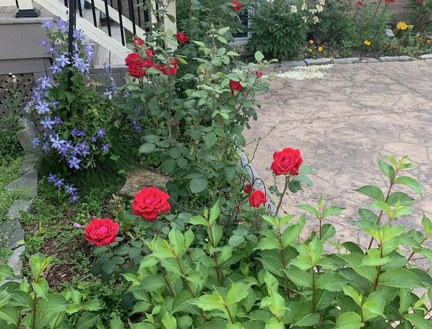 Green Oaks Bed and Breakfast hotel detail image 4