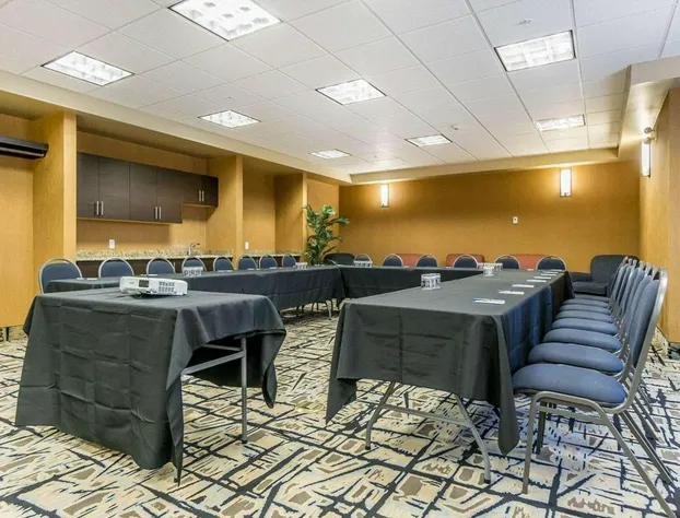 Comfort Inn & Suites Edmonton International Airport hotel detail image 3