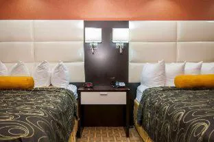 Best Western Plus JFK Inn & Suites hotel detail image 4