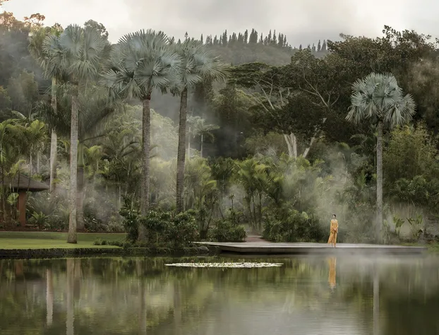 Sensei Lanai, A Four Seasons Resort hotel detail image 2