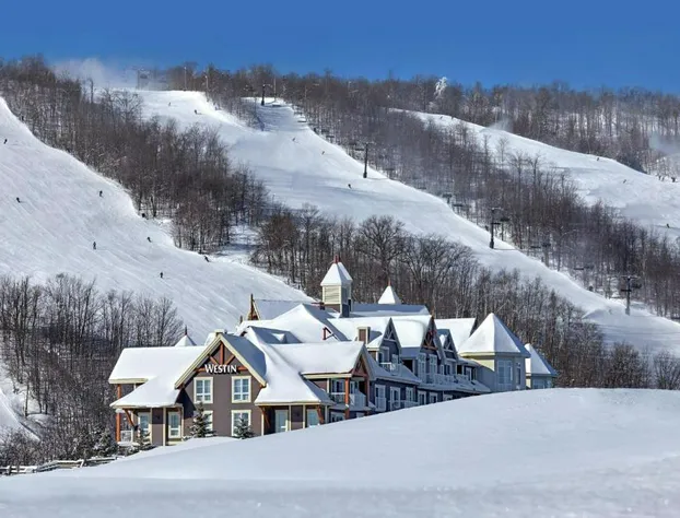 Westin Trillium House, Blue Mountain hotel detail image 1