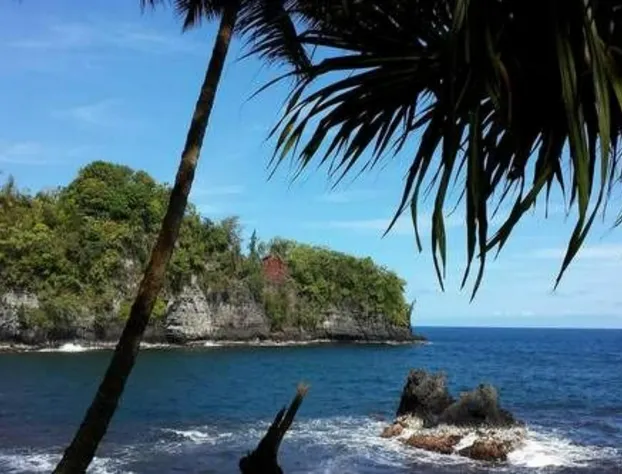 Kona Palace in Captain Cook hotel detail image 3