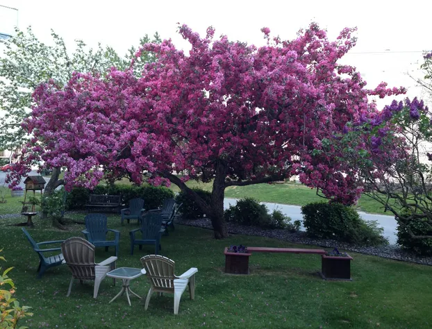 Lakeshore Inn & Suites hotel detail image 2