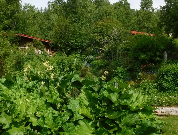 Brigitte's Bavarian B&B hotel detail image 4